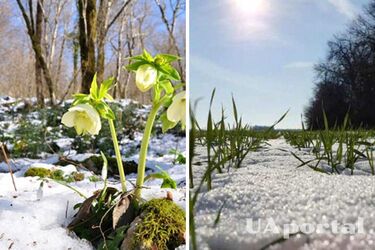 Аномально тепло до 17 градусов и без осадков: какова погода в Украине 28 января