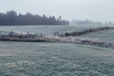 Скільки коштує земля: актуальна ціна паїв в Україні на січень 2025 року