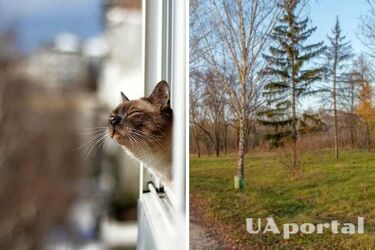 Буде 'спекотно': прогноз погоди на 29 січня