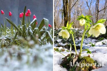 Ожидаются весенние 16 градусов тепла: прогноз погоды на 30 января