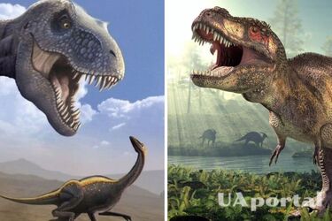 На території Британії знайшли 'дорогу динозаврів': що це таке та чим унікальна