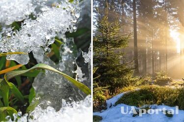 До +17 и по-весеннему солнечно: прогноз погоды в Украине на 31 января