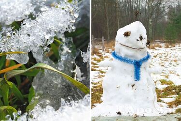 Показники характерні для квітня: у Києві зафіксували ще три температурні рекорди