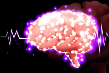 Key to longevity: scientists find brain region that controls aging