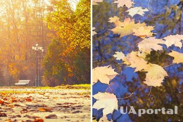 Погода в Украине удивит температурными контрастами: прогноз на 2 октября