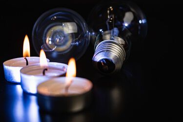 'Фламінго' час завітати до Москви