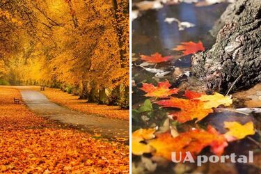 Облачно с прояснениями: прогноз погоды в Украине на 11 октября.