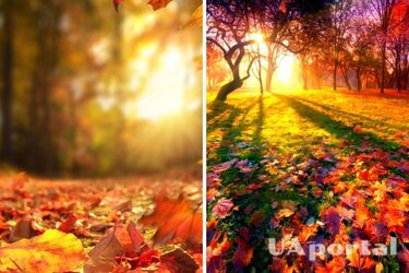 Від 6 до 10 градусів тепла: прогноз погоди в Україні на 14 жовтня