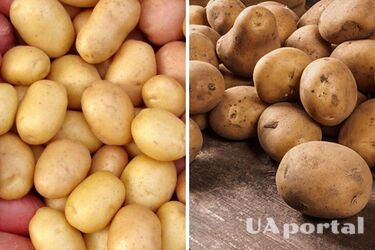 Один из самых популярных овощей упал в цене: за что украинцам придется платить меньше