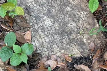 На задньому дворі будинку сімʼї з Нового Орлеану знайшли надгробок часів Римської Імперії (фото)