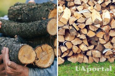 Готуємось до зими: як подати заявку на отримання твердого палива та хто має на це право