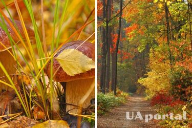 Надвигается потепление: прогноз погоды в Украине на 16 октября