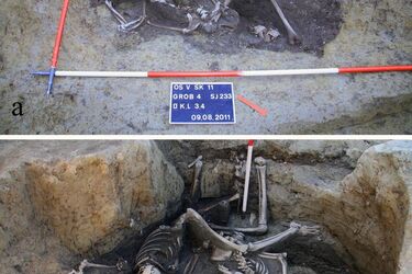 На территории Хорватии обнаружили колодец с останками семи римских солдат 260 н.э. (фото)