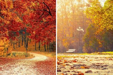 Прогноз погоды в Украине на 18-19 октября