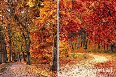 Солнечная и сухая погода: прогноз погоды в Украине на 3 октября.