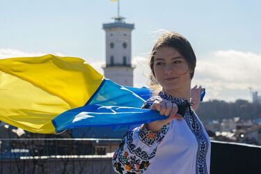 Уроки ирландского фиаско для Украины