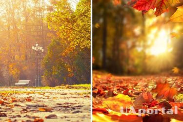 Найтепліше буде на заході: прогноз погоди в Україні на 22 жовтня