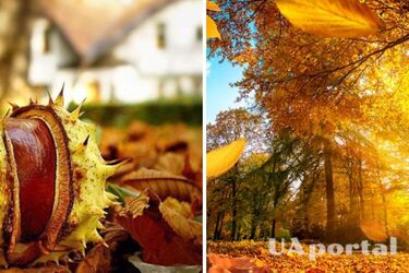 Дощі та похолодання: прогноз погоди в Україні на 23 жовтня