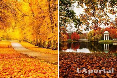 Дожди и облачная погода: прогноз в Украине на 25-26 октября