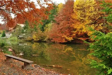 Облачно и до 17 градусов тепла: прогноз погоды в Украине на 28 октября