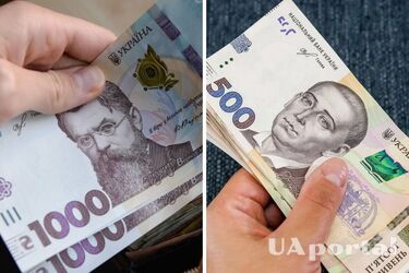 До 80 тысяч гривен в месяц: в каких сферах украинцы зарабатывают больше всего