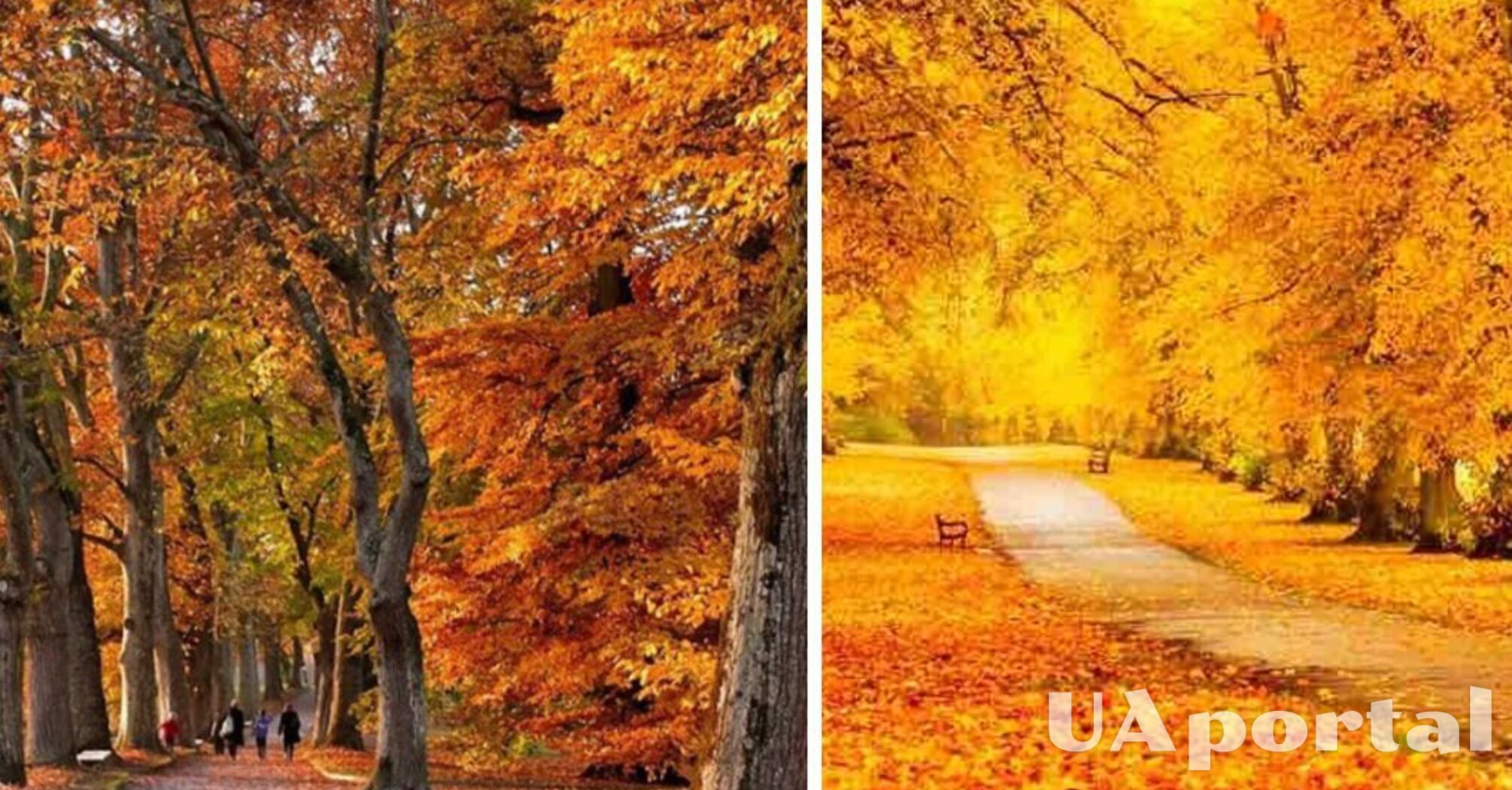 До України повертається тепло: прогноз погоди в Україні на 30 жовтня 