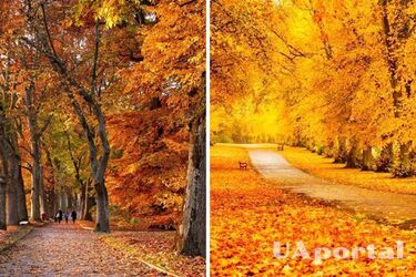 В Украину возвращается тепло: прогноз погоды в Украине на 30 октября