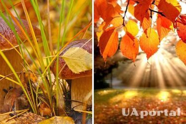 Найхолодніше - на заході: прогноз погоди в Україні на 4-5 жовтня