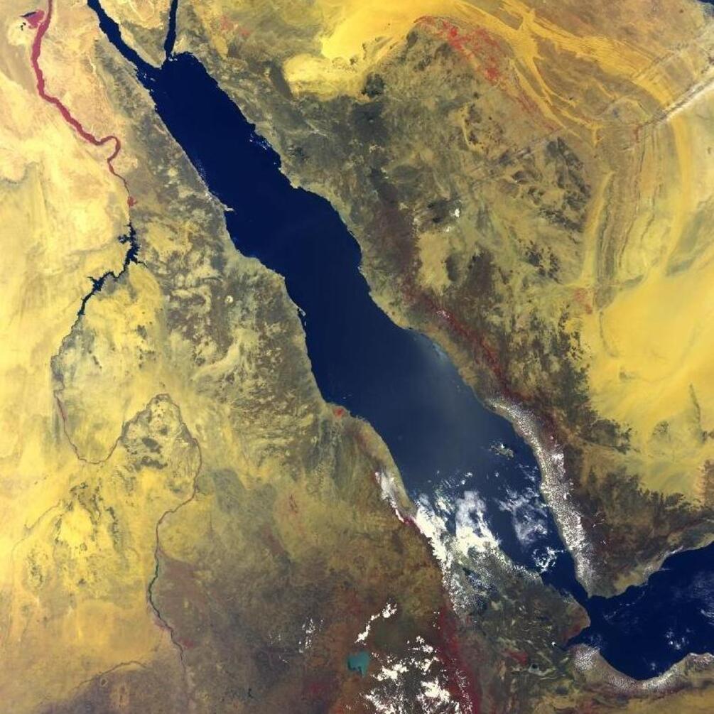 Исчезло и возродилось: ученые объявили сенсационную информацию о Красном море