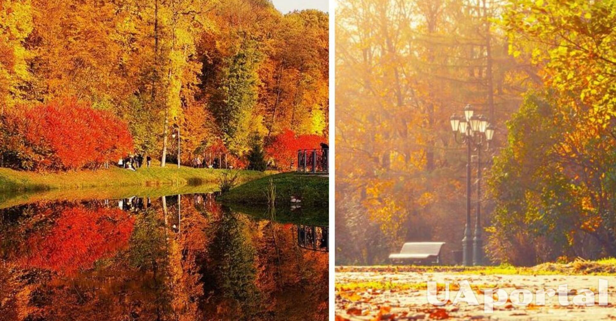 Весеннее тепло до 19 градусов: прогноз погоды на 31 октября