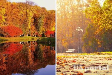 Весеннее тепло до 19 градусов: прогноз погоды на 31 октября