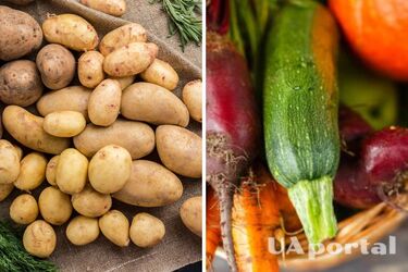 Ціни на низку продуктів будуть нижчими, ніж торік: що можна буде купити дешевше