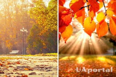 Часть областей покроют дожди: прогноз погоды в Украине на 7 октября