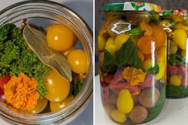 Гости будут в восторге: рецепт консервированных помидоров с бархатцами на зиму