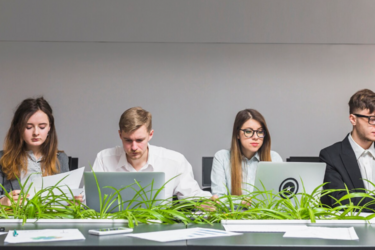 Высокие зарплаты в Украине: в каких сферах украинцы получают от 55 тысяч грн