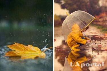 Дожди на большинстве территории: прогноз погоды в Украине на 8 октября.