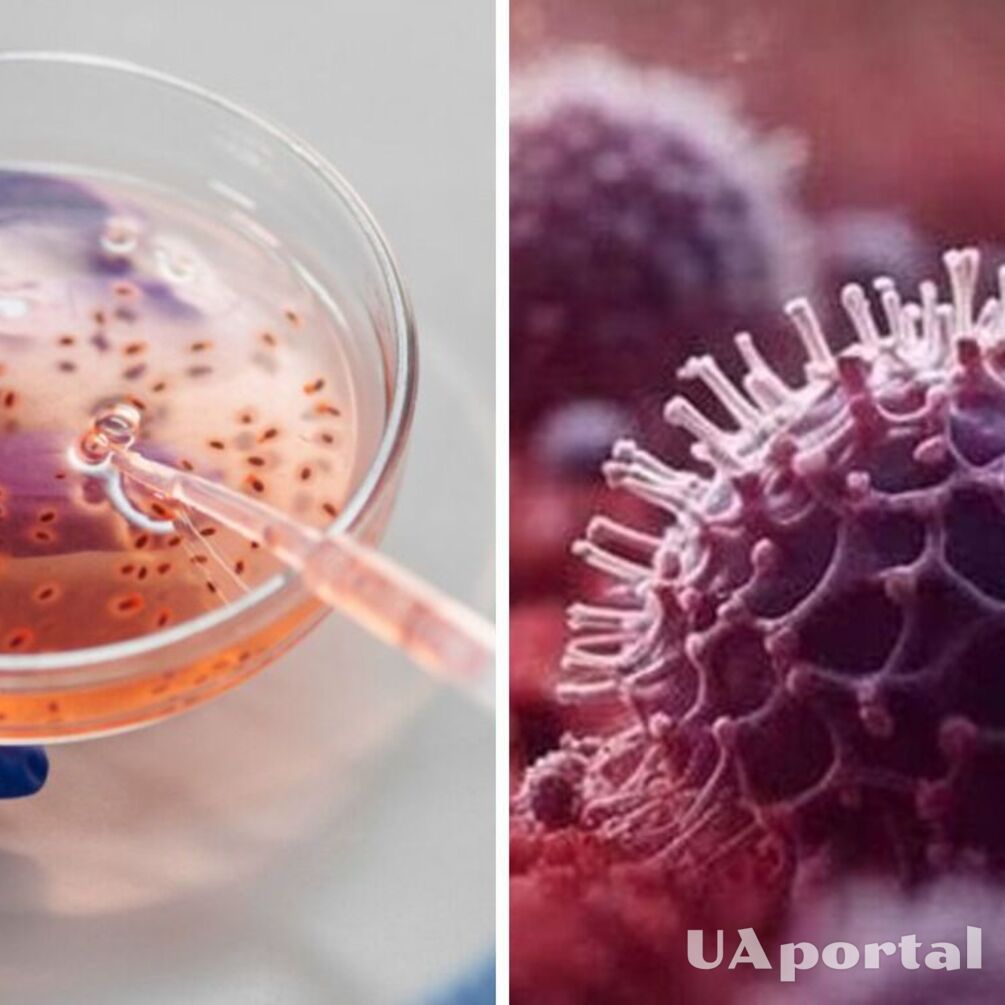 Человечеству грозит новая пандемия: ученые обнаружили на Аляске вирус в возрасте 40 тысяч лет