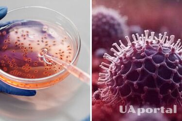 Людству загрожує нова пандемія: вчені виявили на Алясці вірус віком 40 тисяч років