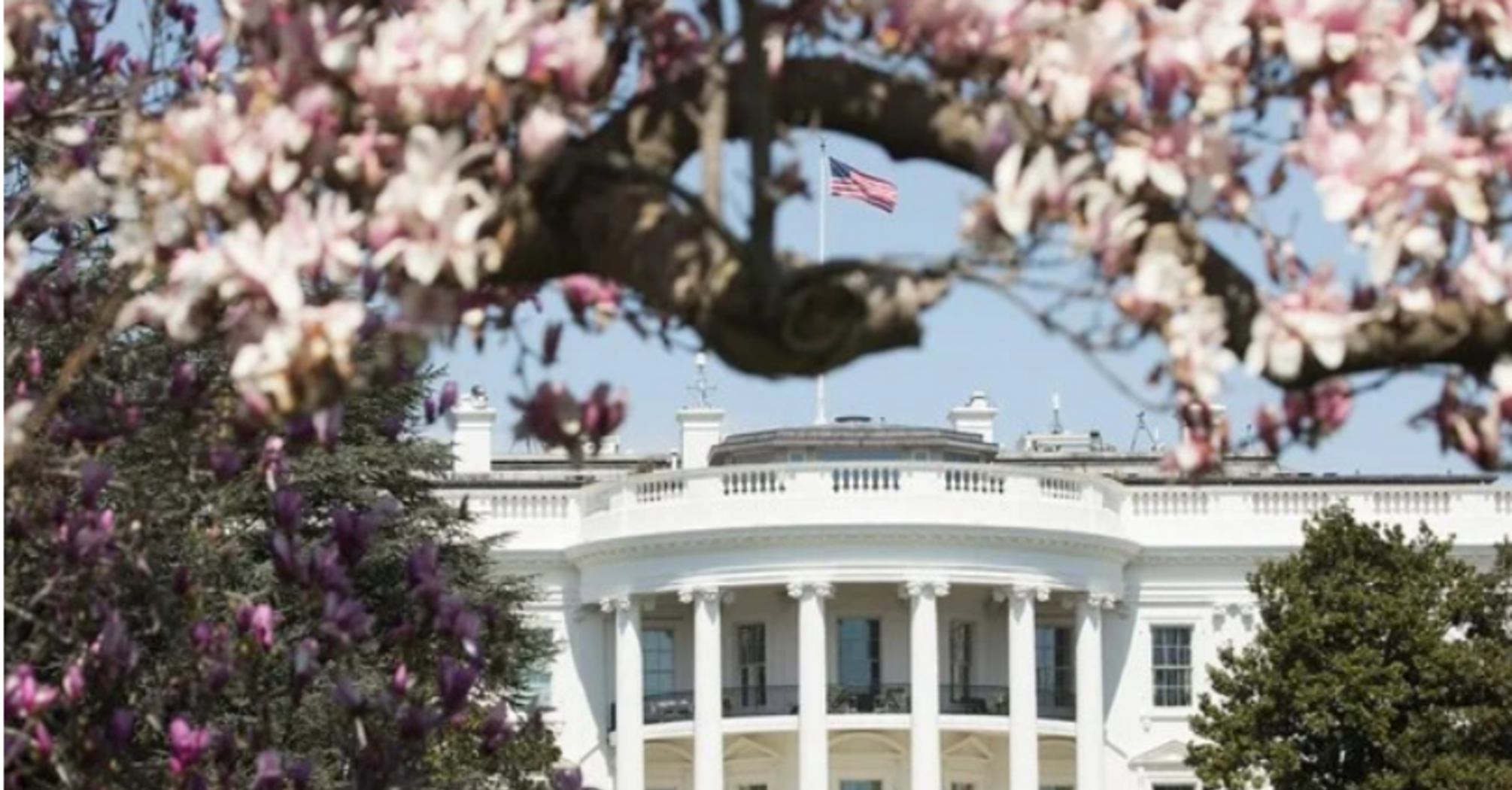 Свіже опитування американців про Україну та Росію від HarrisX і Harvard