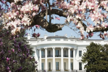 Свіже опитування американців про Україну та Росію від HarrisX і Harvard