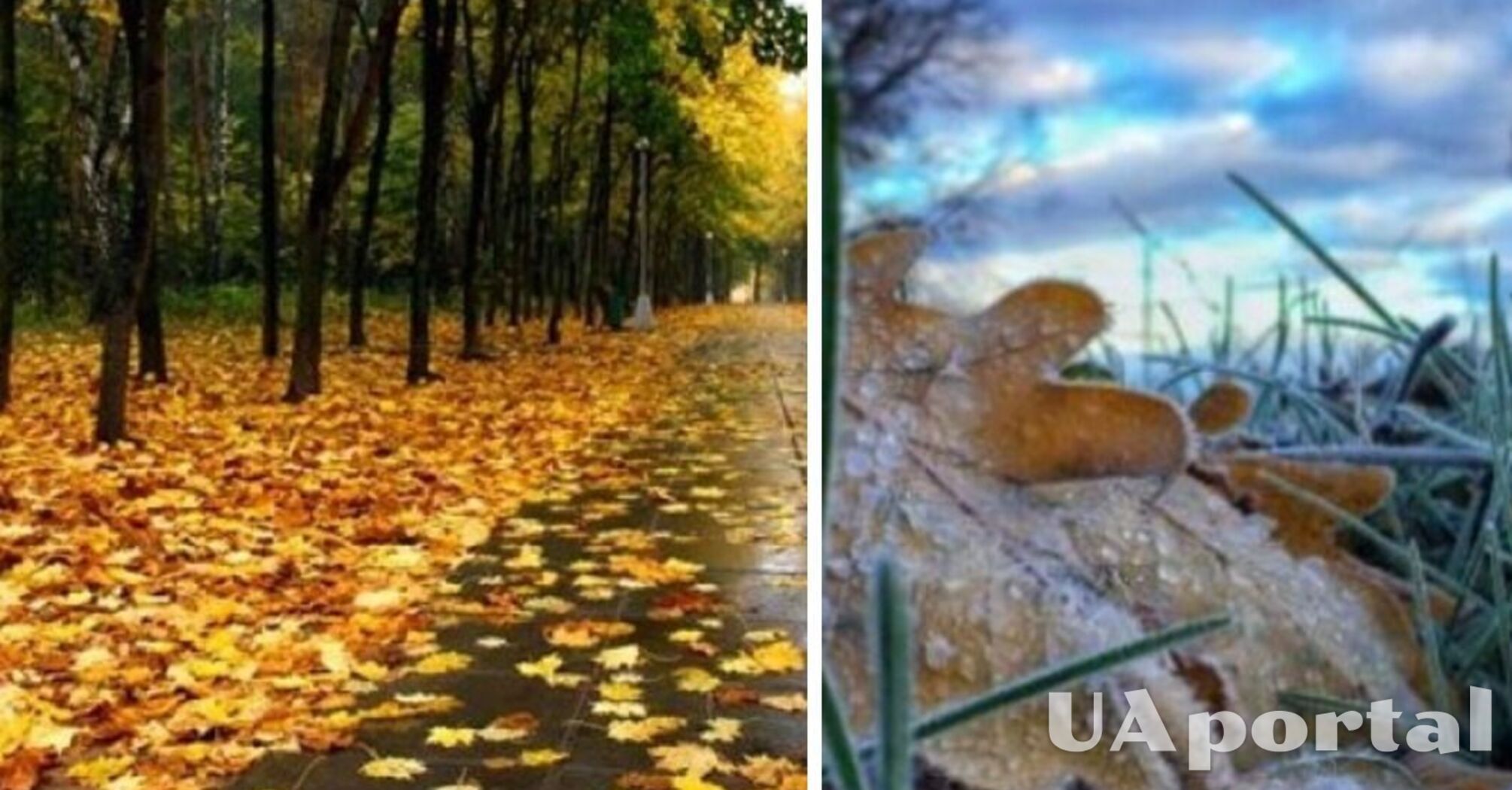 Резкое похолодание и дожди: прогноз погоды в Украине на 10 октября