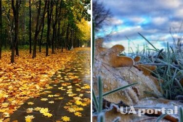 Резкое похолодание и дожди: прогноз погоды в Украине на 10 октября