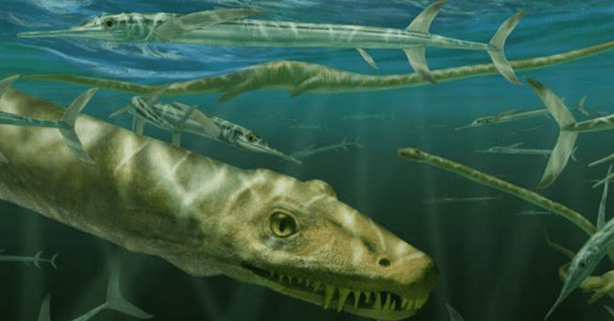 Дракон минулого: у Китаї виявили унікальну скам’янілість, якій сотні мільйонів років