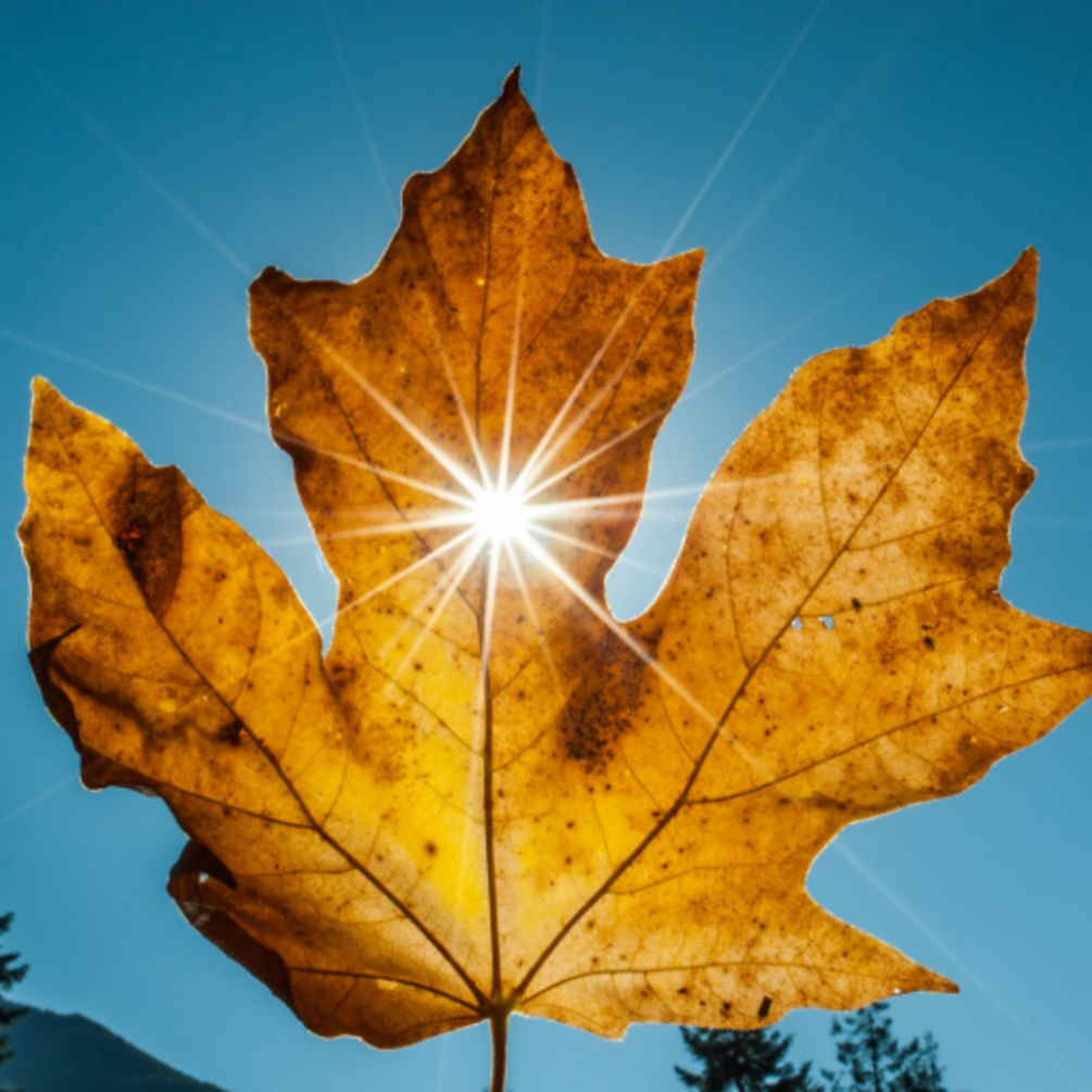 Дощі та грози в Україні: синоптики розповіли, коли піде циклон і настане сонячна погода