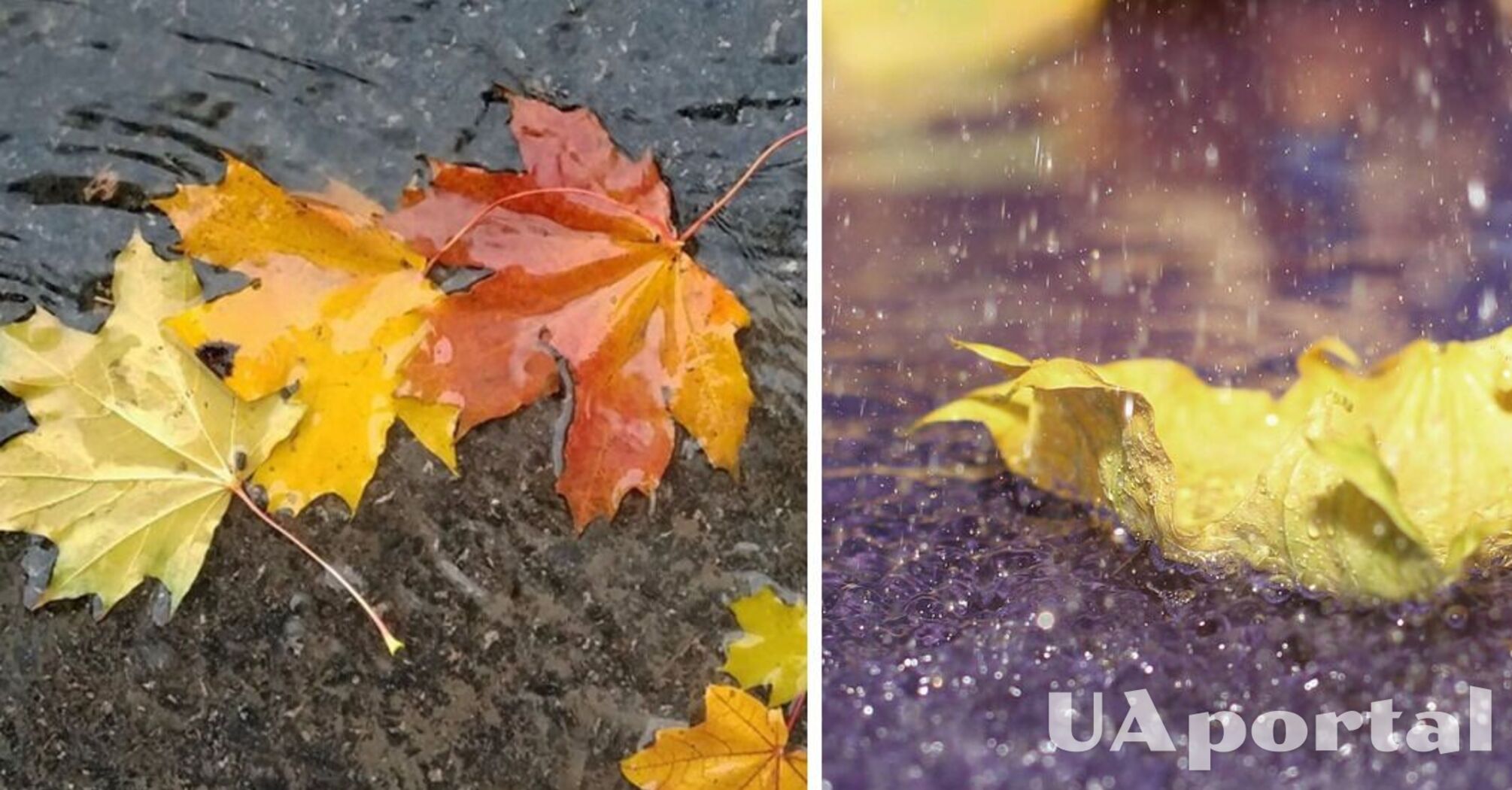 Очікуються значні дощі: прогноз погоди в Україні на 11 листопада   