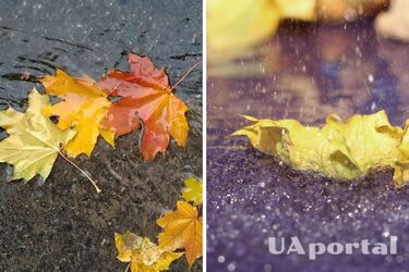 Дождь: прогноз погоды в Украине на 11 ноября.