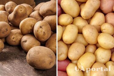 В Украине заметно подорожал популярный овощ: сколько стоит килограмм