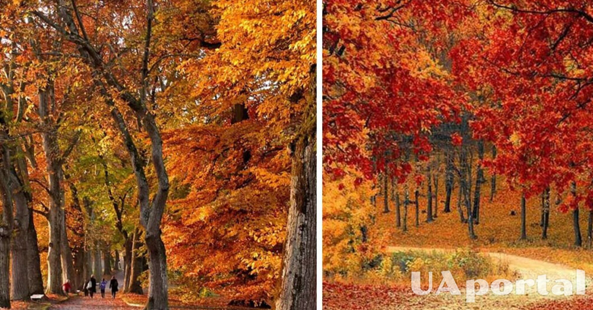 До 16 градусов тепла в отдельных областях: прогноз погоды на 12 ноября