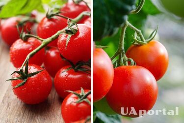 В Україні стрімко дешевшає популярний овоч: яка вартість кілограму