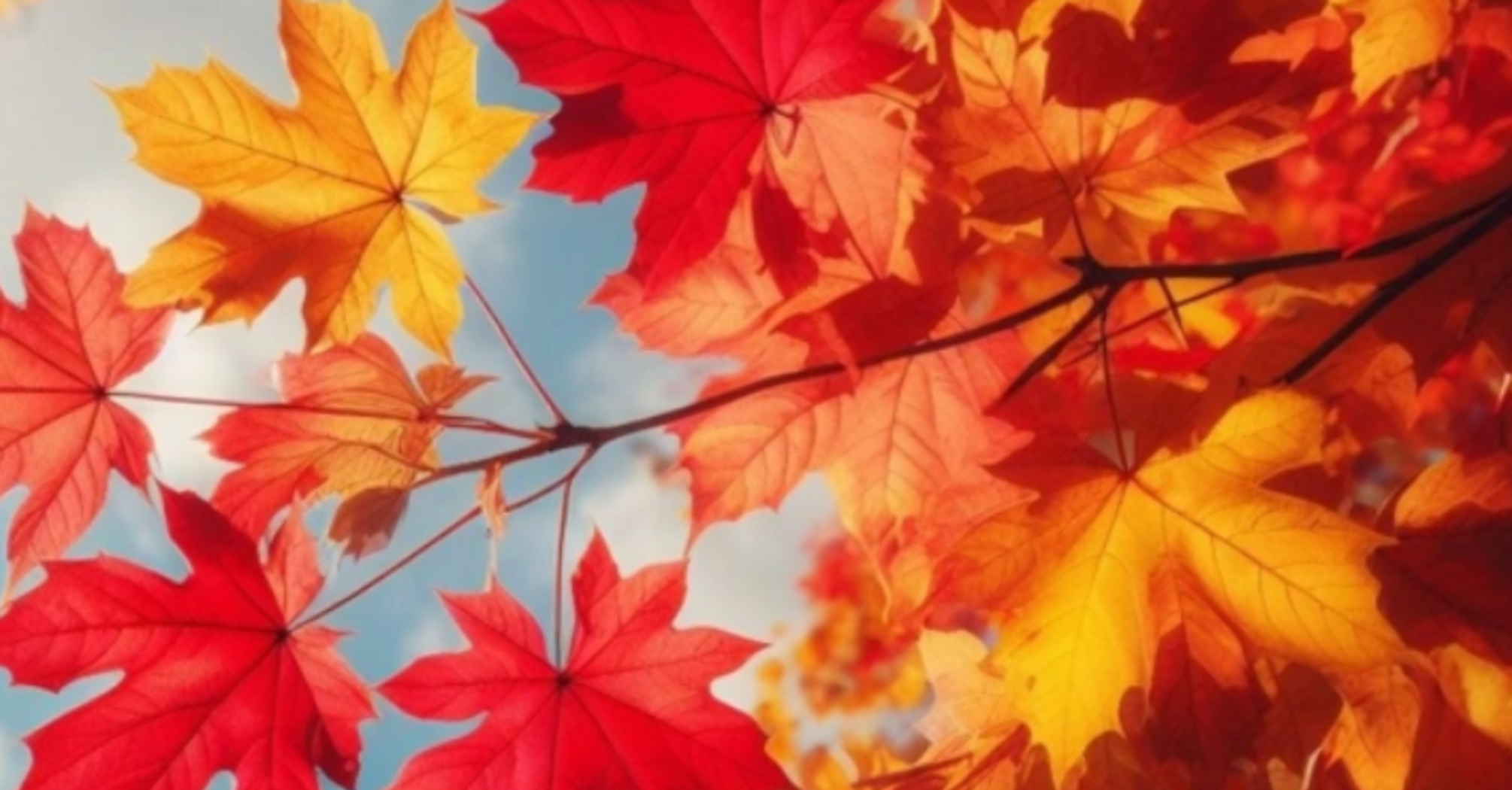 Магнітні бурі і дощі: прогноз погоди на 12 листопада